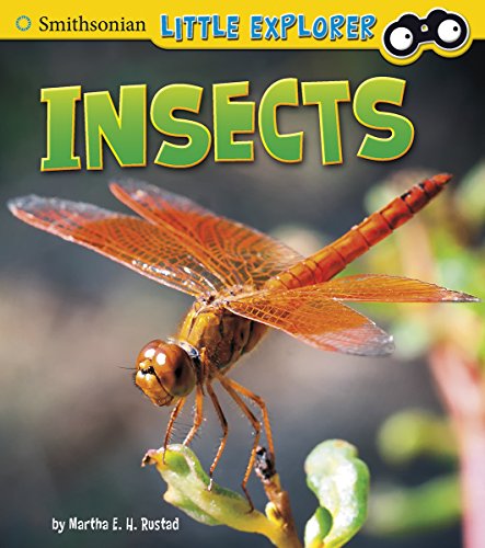 Insects by Martha E. H. Rustad 
			
			
		
		
		
       	 
       		
       			,