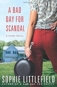 A Bad Day for Scandal: A Crime Novel