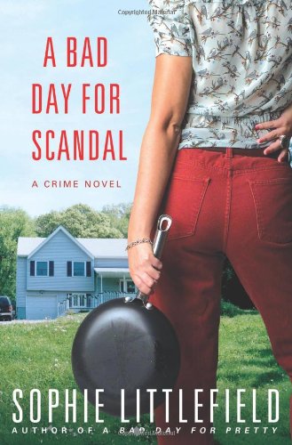 A Bad Day for Scandal: A Crime Novel by Sophie Littlefield