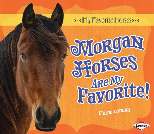 Morgan Horses Are My Favorite! by Elaine Landau