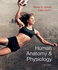 Human Anatomy &amp; Physiology