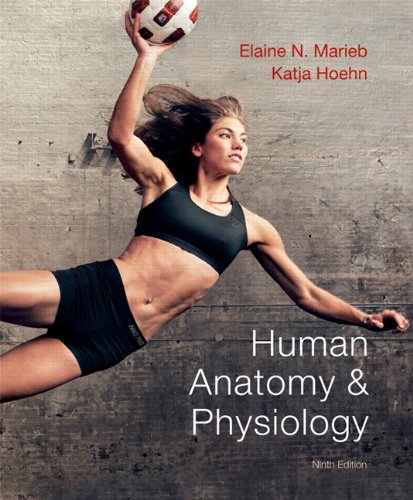 Human Anatomy &amp; Physiology by Elaine N. Marieb 
			
			
		
		
		
       	 
       		
       			,