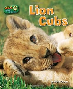 Lion Cubs