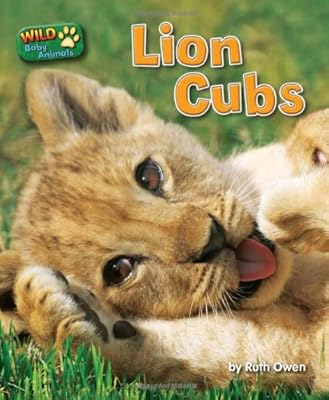 Lion Cubs