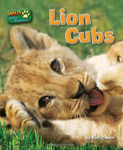 Lion Cubs by Ruth Owen