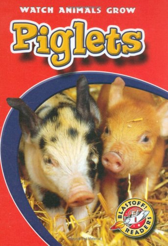 Piglets by Colleen Sexton