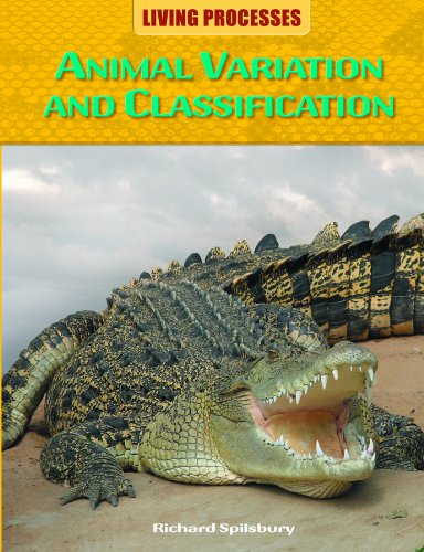 Animal Variation and Classification by Richard Spilsbury