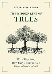 The Hidden Life of Trees: What They Feel, How They Communicate—Discoveries From a Secret World
