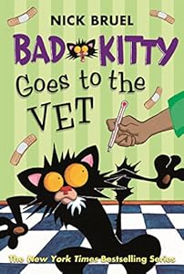 Bad Kitty goes to the vet.