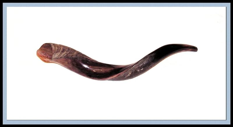Sound the Shofar!: A Story for Rosh Hashanah and Yom Kippur by Leslie Kimmelman