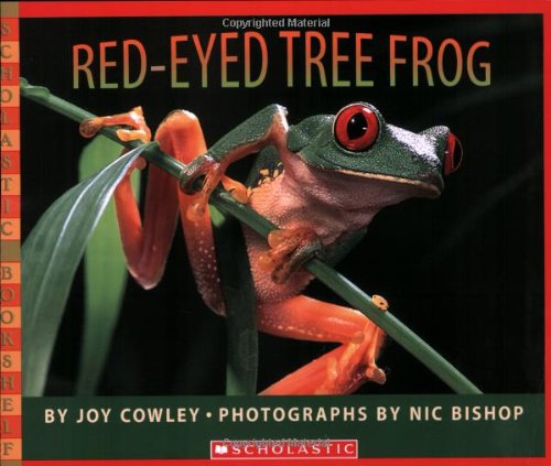 Red-eyed Tree Frog by Joy Cowley