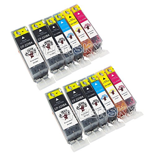 GREENSKY 12 Pack Compatible Ink Cartridge Replacement For Canon PGI-225 & CLI-226 (4BX,2B,2C,2M,2Y) Compatible With Canon PIXMA MX892 MG5120 MG5320 MG6120 MG5220 MG8120 iP4820 iP4920 iX6520