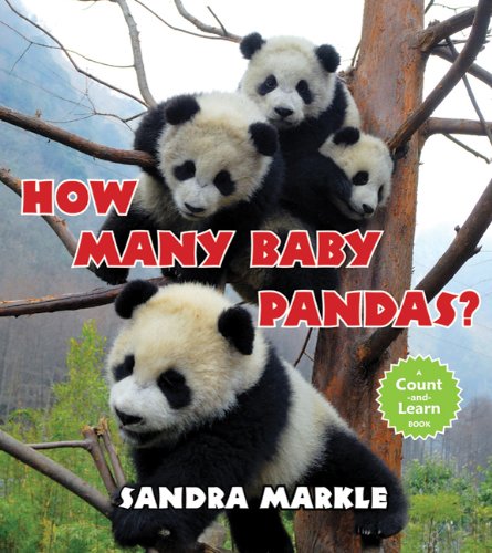 How Many Baby Pandas? by Sandra Markle