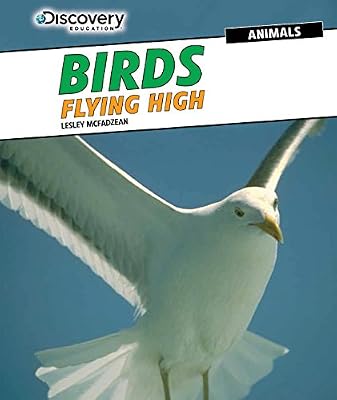 Birds: Flying High