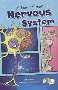 A Tour of Your Nervous System