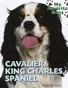Cavalier King Charles spaniel