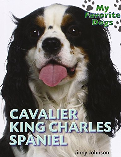 Cavalier King Charles spaniel by Jinny Johnson