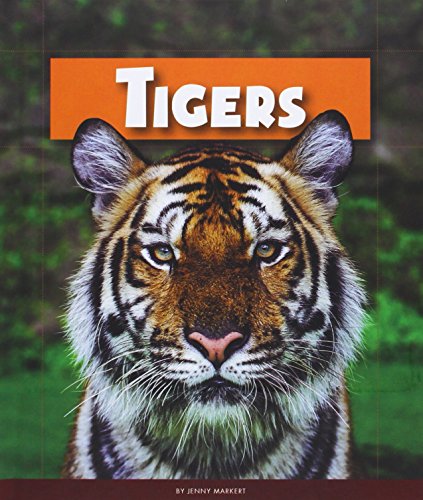 Tigers by Jenny Markert