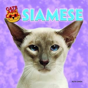 Siamese