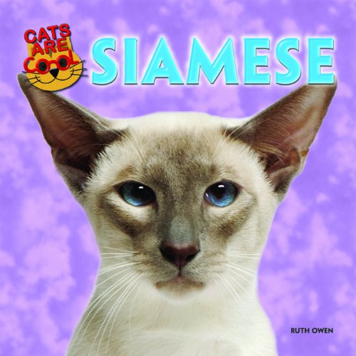 Siamese by Ruth Owen