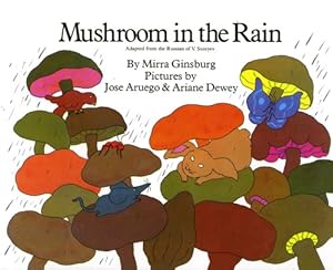 Mushroom in the Rain