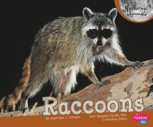 Raccoons by J. Angelique Johnson