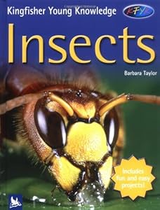 Kingfisher Young Knowledge: Insects