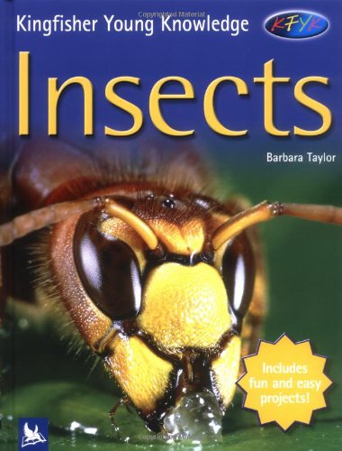 Kingfisher Young Knowledge: Insects by Barbara Taylor