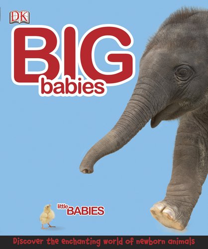 Big Babies, Little Babies by DK Publishing