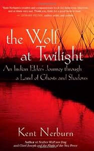 The wolf at twilight