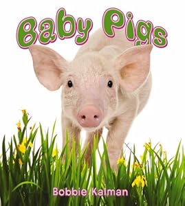 Baby Pigs (It's Fun to Learn about Baby Animals)