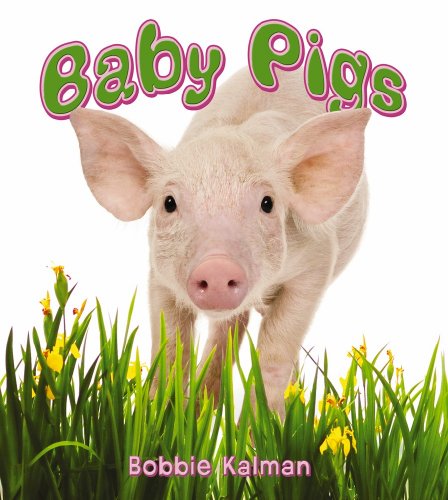 Baby Pigs (It's Fun to Learn about Baby Animals) by Bobbie Kalman
