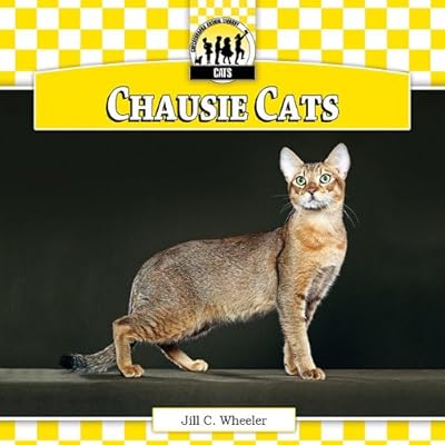 Chausie Cats
