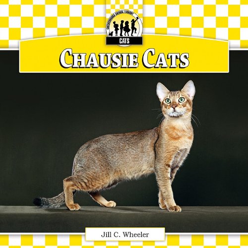 Chausie Cats by Jill C. Wheeler
