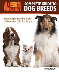 Complete Guide to Dog Breeds: Everything You Need to Know to Choose the Right Dog for You