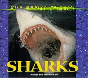 Wild Marine Animals - Sharks