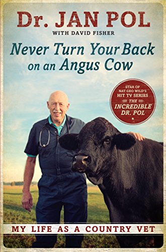 Never Turn Your Back On An Angus Cow by Dr. Jan Pol