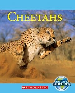 Cheetahs