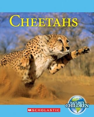 Cheetahs