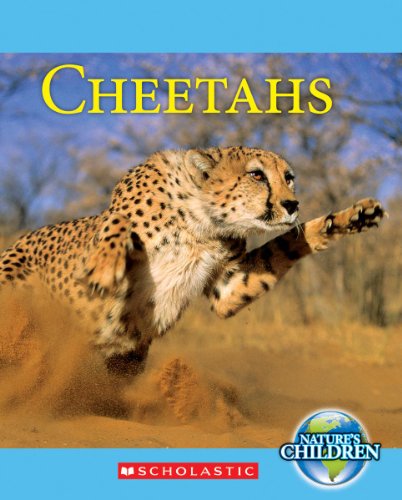 Cheetahs by Katie Marsico