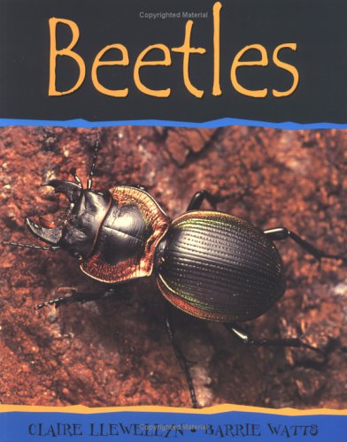 Beetles (Minibeasts) by Claire Llewellyn