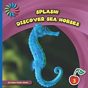 Discover Sea Horses