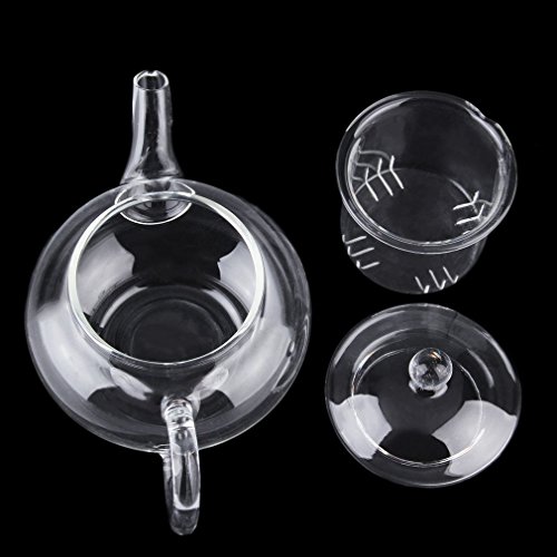 Algopix Similar Product 6 - Maexus Heat Resistan Glass Teapot With