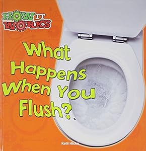 What Happens When You Flush?