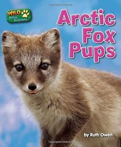 Arctic Fox Pups