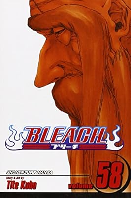 Bleach, Vol. 58