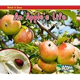 An Apple's Life