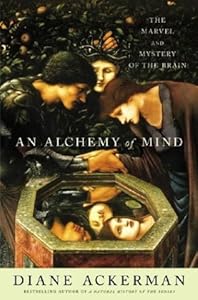 An Alchemy of Mind: The Marvel and Mystery of the Brain