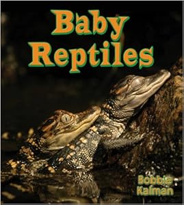 Baby Reptiles (It's Fun to Learn about Baby Animals)