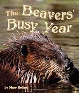 The Beavers' Busy Year